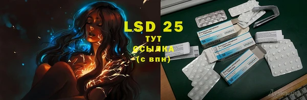 дживик Пересвет
