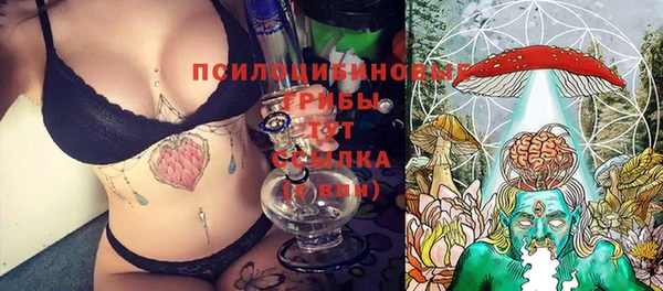 дживик Пересвет