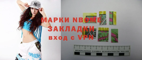 дживик Пересвет
