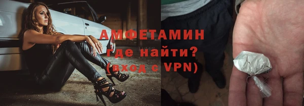 дживик Пересвет