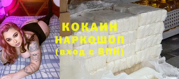 дживик Пересвет