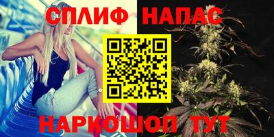стаф Беслан