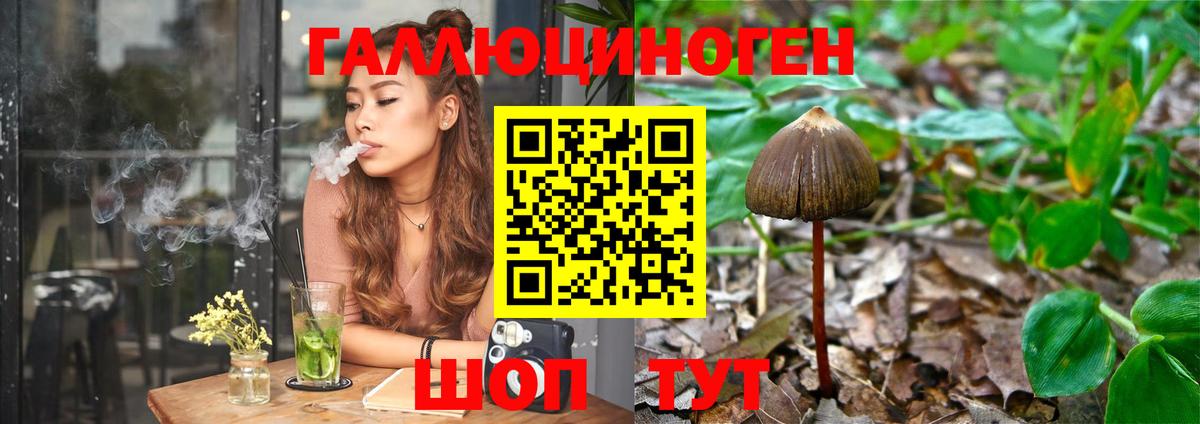 Грязи  Галлюциногенные грибы Psilocybe  Вход с VPN 